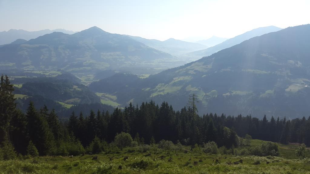 Schrandl Apartment Penningberg Hopfgarten im Brixental Cameră foto